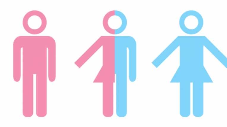 La identidad de género trans: una construcción relacional y contextualizada (San Luis, Argentina, 2013-2015)